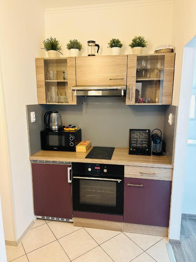Apartment Beautiful Dlouha Prag